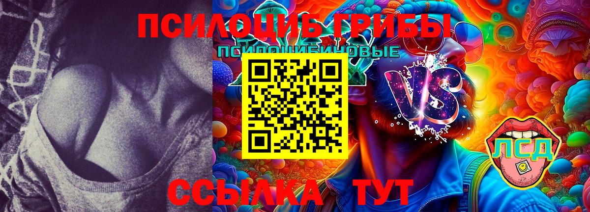 Псилоцибиновые грибы Magic Shrooms  Галлюциногенные грибы Psilocybe  Вход с VPN  Тобольск 